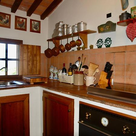 Appartamento Con Patio Privato E Giardino Tra Pisa E Firenze Palaia Kültér fotó