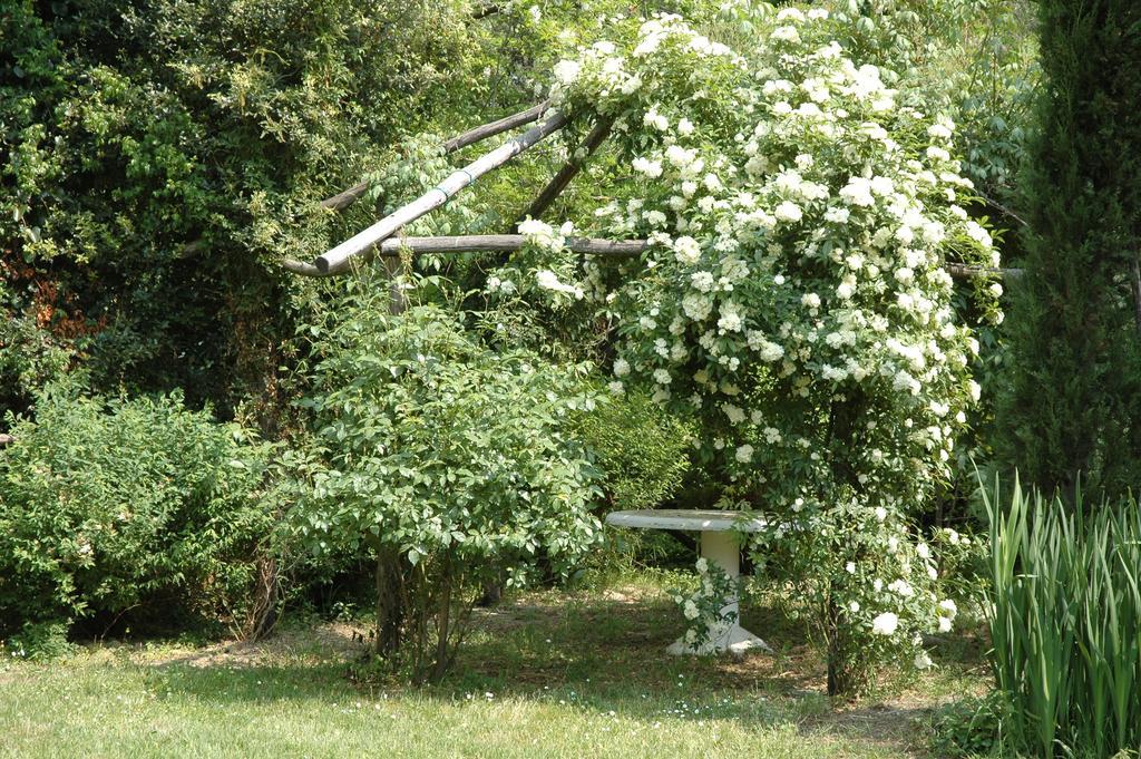 Appartamento Con Patio Privato E Giardino Tra Pisa E Firenze Palaia Kültér fotó