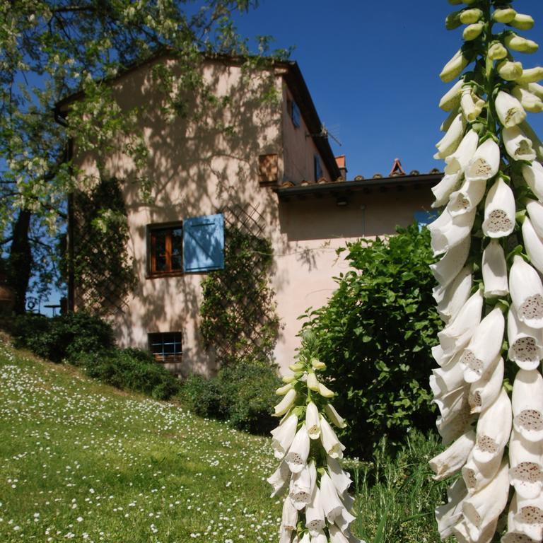 Appartamento Con Patio Privato E Giardino Tra Pisa E Firenze Palaia Kültér fotó