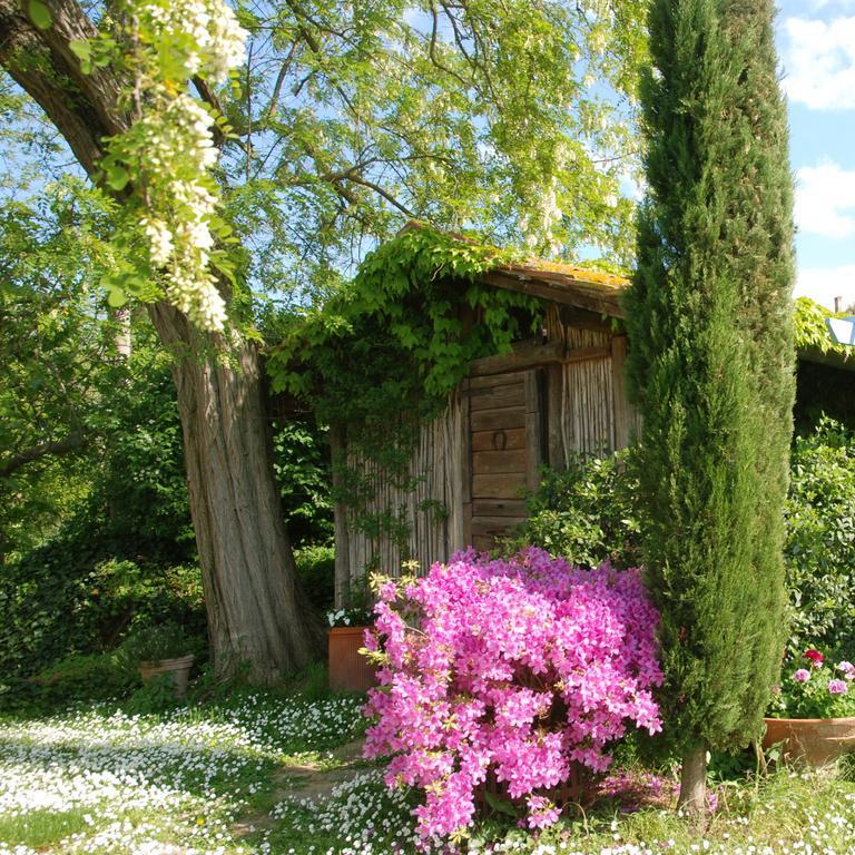 Appartamento Con Patio Privato E Giardino Tra Pisa E Firenze Palaia Kültér fotó
