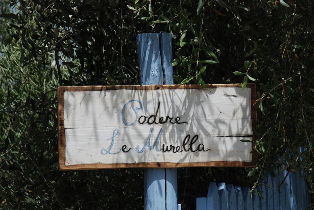 Appartamento Con Patio Privato E Giardino Tra Pisa E Firenze Palaia Kültér fotó