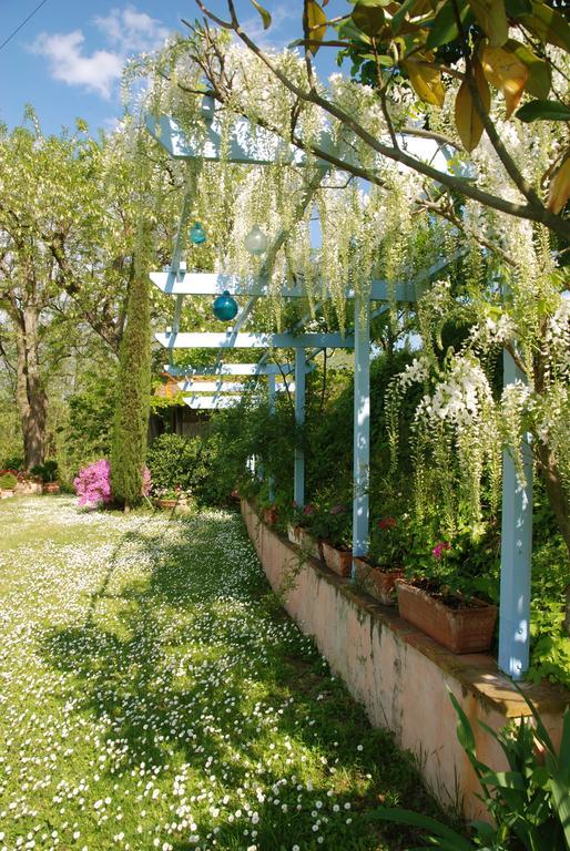 Appartamento Con Patio Privato E Giardino Tra Pisa E Firenze Palaia Kültér fotó