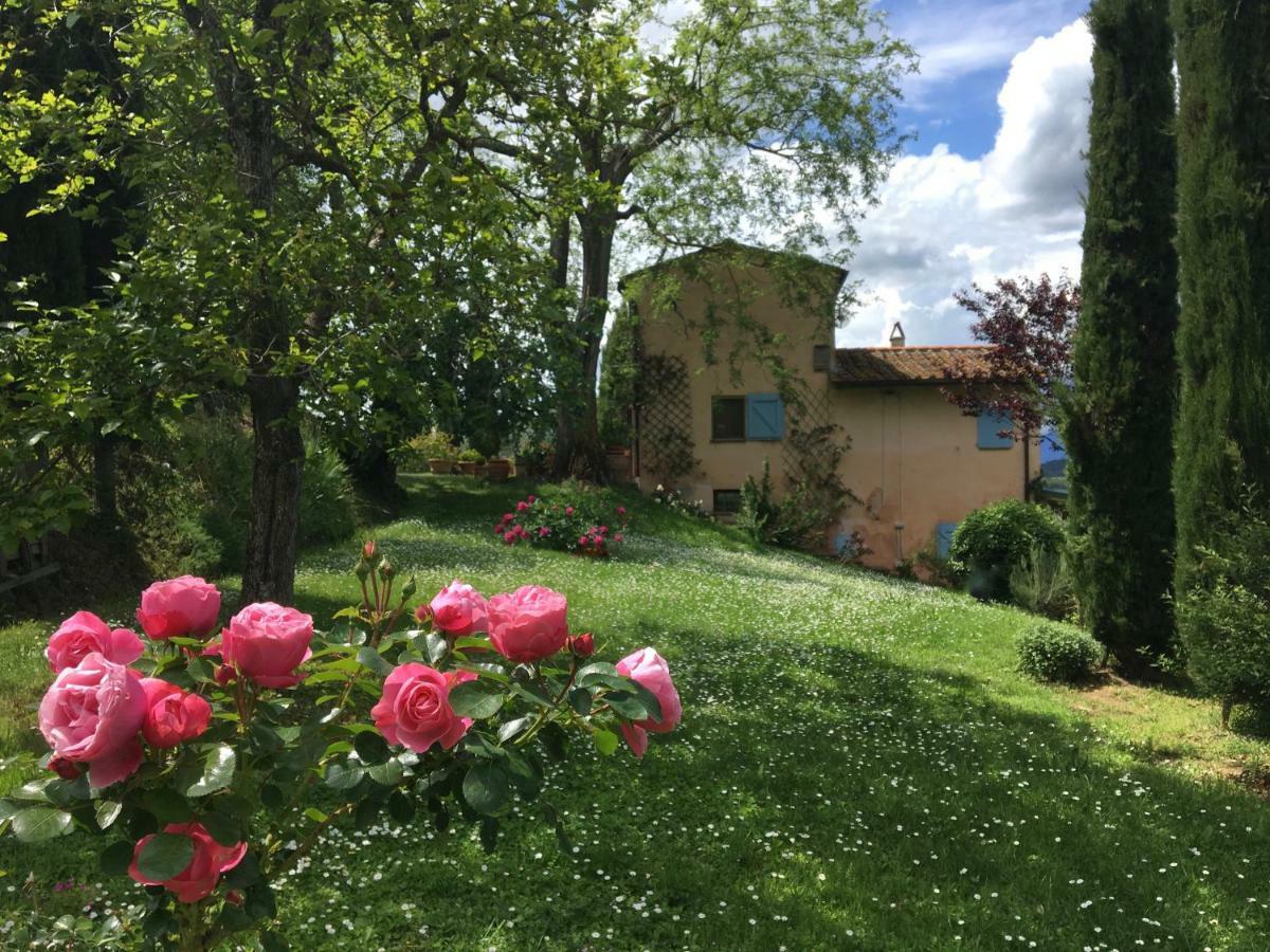 Appartamento Con Patio Privato E Giardino Tra Pisa E Firenze Palaia Kültér fotó